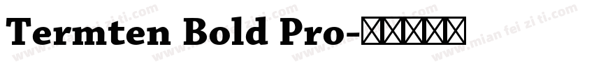 Termten Bold Pro字体转换